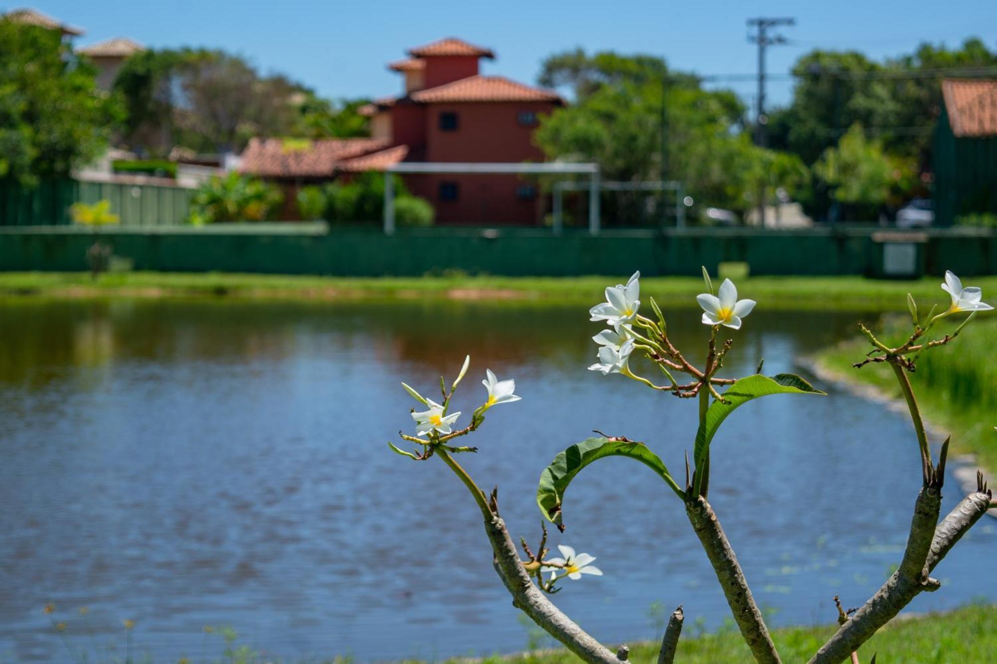 Meu Paraiso Em - 70 Metros Da Holiday home